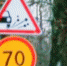 Фото новости - Kingisepp.Ru
