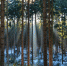 Фото новости - Kingisepp.Ru
