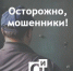 Фото новости - Kingisepp.Ru