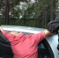Фото новости - Kingisepp.Ru