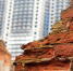Фото новости - Kingisepp.Ru