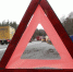Фото новости - Kingisepp.Ru