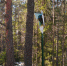Фото новости - Kingisepp.Ru