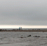 Фото новости - Kingisepp.Ru