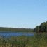 Фото новости - Kingisepp.Ru