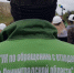 Региональный оператор по мусору вновь проведет прием граждан в Кингисеппе - Kingisepp.Ru
