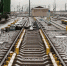 Фото новости - Kingisepp.Ru