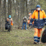 Фото новости - Kingisepp.Ru