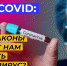 Какие законы помогут нам победить коронавирус? Видео - Кингисепп-сегодня.рф