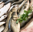 В Кингисеппе обнаружили производителя опасных продуктов: рыбы, мяса и творога - Кингисепп-сегодня.рф