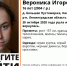 Поисковики отряда «Лиза Алерт» ищут пропавшую несколько дней назад 16-летнюю девушку из Кингисеппского района - Кингисепп-сегодня.рф