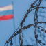 За июнь на российско-эстонской границе в Ивангороде изъяли почти 44 кг продуктов без документов - Кингисепп-сегодня.рф