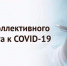 Бизнес региона создает коллективный иммунитет. В Ленобласти выдано 3304 «ковид-паспорта» - Кингисепп-сегодня.рф