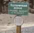 Паспорта нету — гони к ответу. В Ивангороде усилят режим - Kingisepp.Ru
