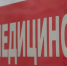 В садоводстве в Ленобласти подстрелили из лука 11-летнего мальчика - Кингисепп-сегодня.рф