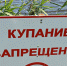 В Ленобласти за неделю утонули трое детей, еще одну девочку удалось спасти - Кингисепп-сегодня.рф