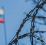 На границе в Ивангороде задержали двоих иностранцев с поддельными паспортами - Кингисепп-сегодня.рф