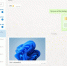 WhatsApp выпустил нативное приложение для Windows - Кингисепп-сегодня.рф