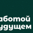 «Зеленая премия» ждет заявок от ленинградцев - Газета Время