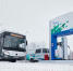 Ленобласти — новые комфортные автобусы - Газета Восточный берег