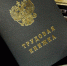В Ленинградской области за год количество вакансий с переездом увеличилось в три раза - Кингисепп-сегодня.рф