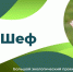 Ленобласть зовет взять шефство над экотропами - Газета Время