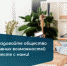 Малый бизнес включается в инклюзивную деятельность - Газета Время