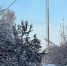 10 деревень и поселков Ленобласти подключили к 4G в этом году - Кингисепп-сегодня.рф