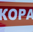 47news: На «Нарве» у Кипени с утра разбилось больше десятка машин - Кингисепп-сегодня.рф