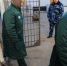 Путин подписал указ о помиловании 52 осужденных женщин - Кингисепп-сегодня.рф