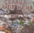 Жители Кингисеппа пожаловались на свалку. Ее убрали - ГородКингисепп.РФ