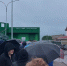 Как путники из Петербурга застряли на мосту Ивангород - Нарва - Kingisepp.Ru