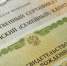 В Госдуме сообщили о росте маткапитала в 2025 году - Кингисепп-сегодня.рф
