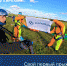 Антон Бенцо и Анатолий Павликов из Кингисеппа совершили свой 1й прыжок с парашютом (Фото) - Kingisepp.Ru