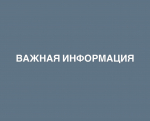 Отключение электричества 17.02.2025 в Ивангороде. Адреса и подробности