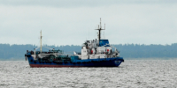 Ленинградская область создала Морской совет - Кингисепп-сегодня.рф