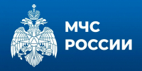 Россиянам запретили сбивать дроны подручными средствами - Кингисепп-сегодня.рф