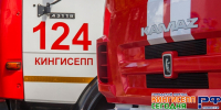В Кингисеппском районе сгорели бытовка и автомобиль. Обошлось без пострадавших - Кингисепп-сегодня.рф