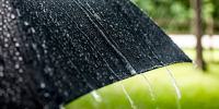 Во вторник ленинградцев ожидают кратковременные дожди - Кингисепп-сегодня.рф