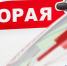 В Кингисеппском районе на «Нарве» столкнулись два автомобиля - Кингисепп-сегодня.рф