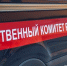 В Ленобласти завели дело после гибели ребенка на уроке физкультуры - Кингисепп-сегодня.рф