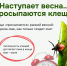 Роспотребнадзор: наступила весна - проснулись клещи! - Кингисепп-сегодня.рф