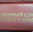 Букву «ё» назвали смыслообразующей в русском языке - Кингисепп-сегодня.рф