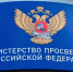 С 1 сентября 2027 года старшую школу ждут изменения. В России разработали новый стандарт обучения - Кингисепп-сегодня.рф