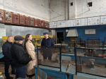 «Работать на селе — современно и выгодно»: в Волосовском районе готовят агроспециалистов нового поколения