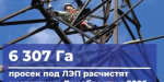 Электросетевые компании Ленобласти расчистят свыше 6 тыс. гектаров просек под ЛЭП