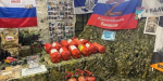 В Кингисеппе передали огнетушители для отправки бойцам на СВО